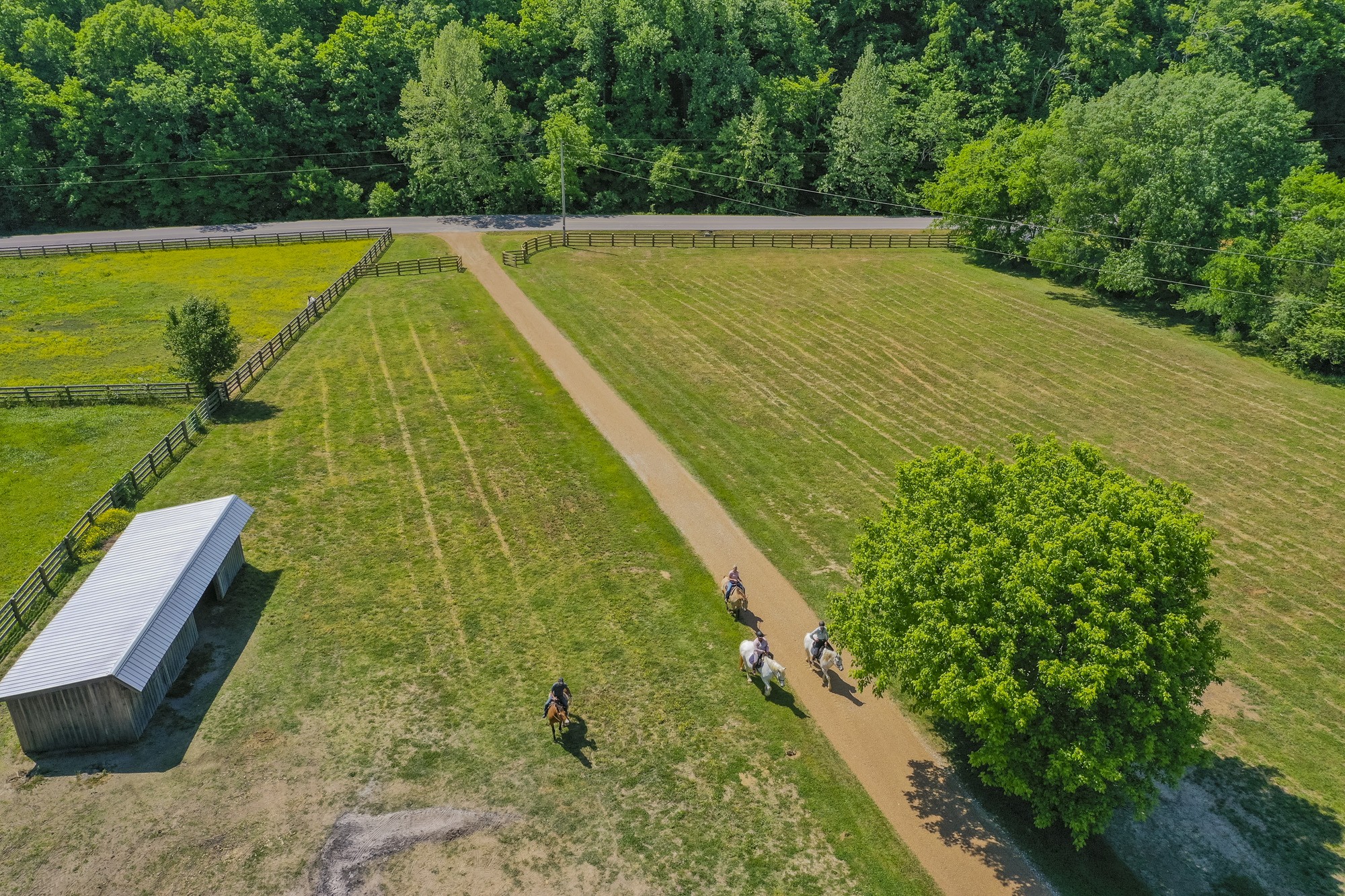 5750 Davis Hollow Road Franklin, TN 37064 - Photo 7 of 41