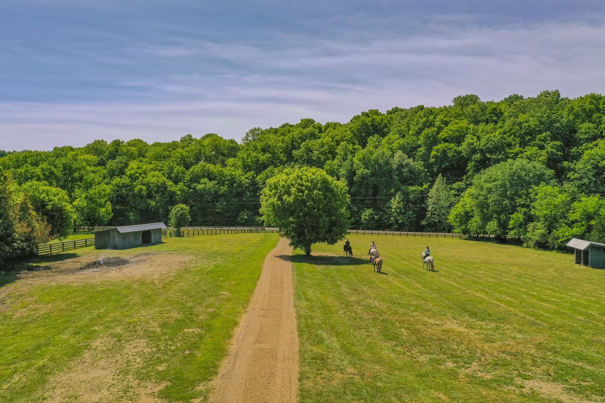 5750 Davis Hollow Road Franklin, TN 37064 - Photo 8 of 41 a view of a swimming pool with a yard
