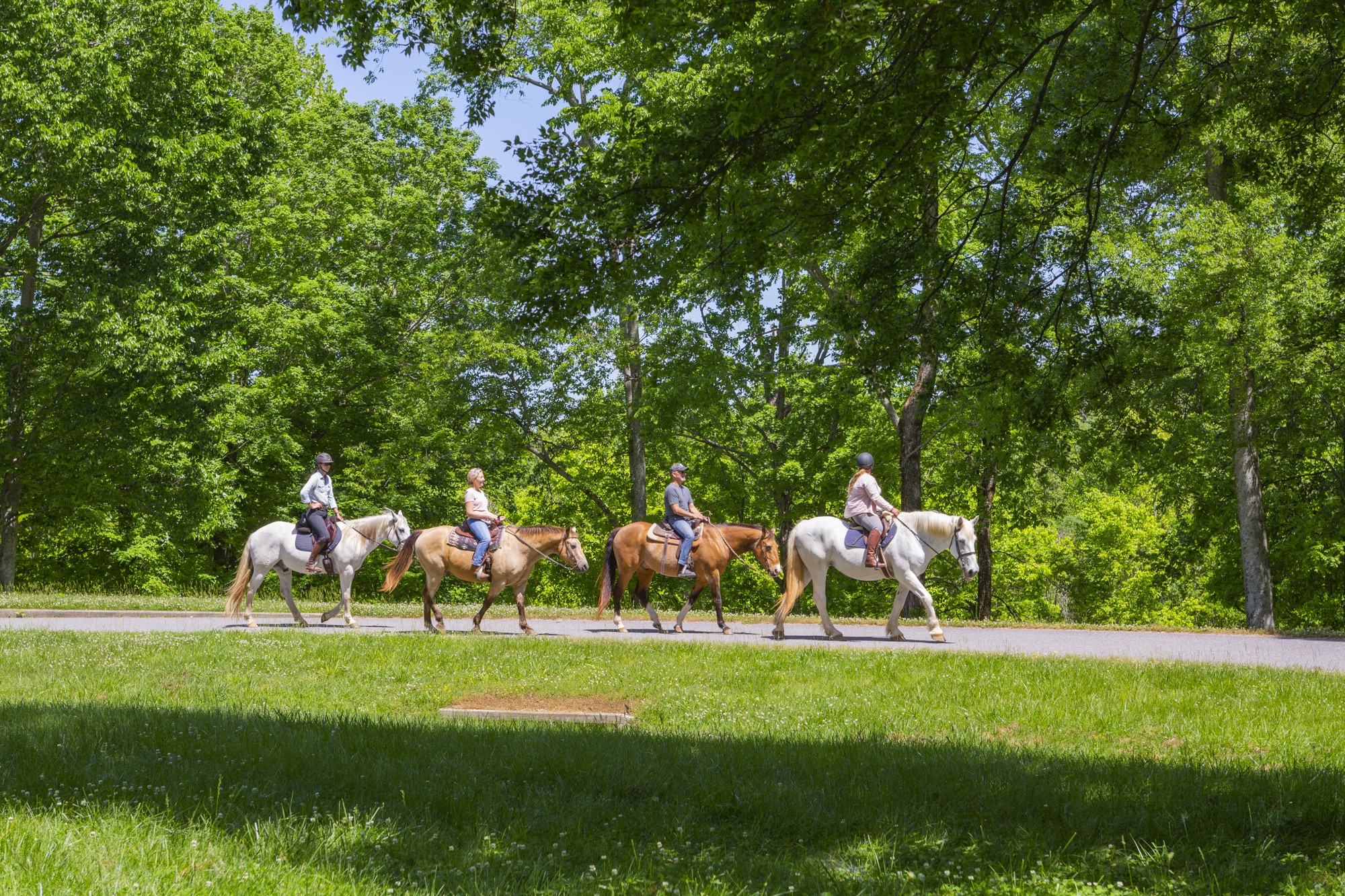 5750 Davis Hollow Road Franklin, TN 37064 - Photo 9 of 41 a view of a golf course with a lake
