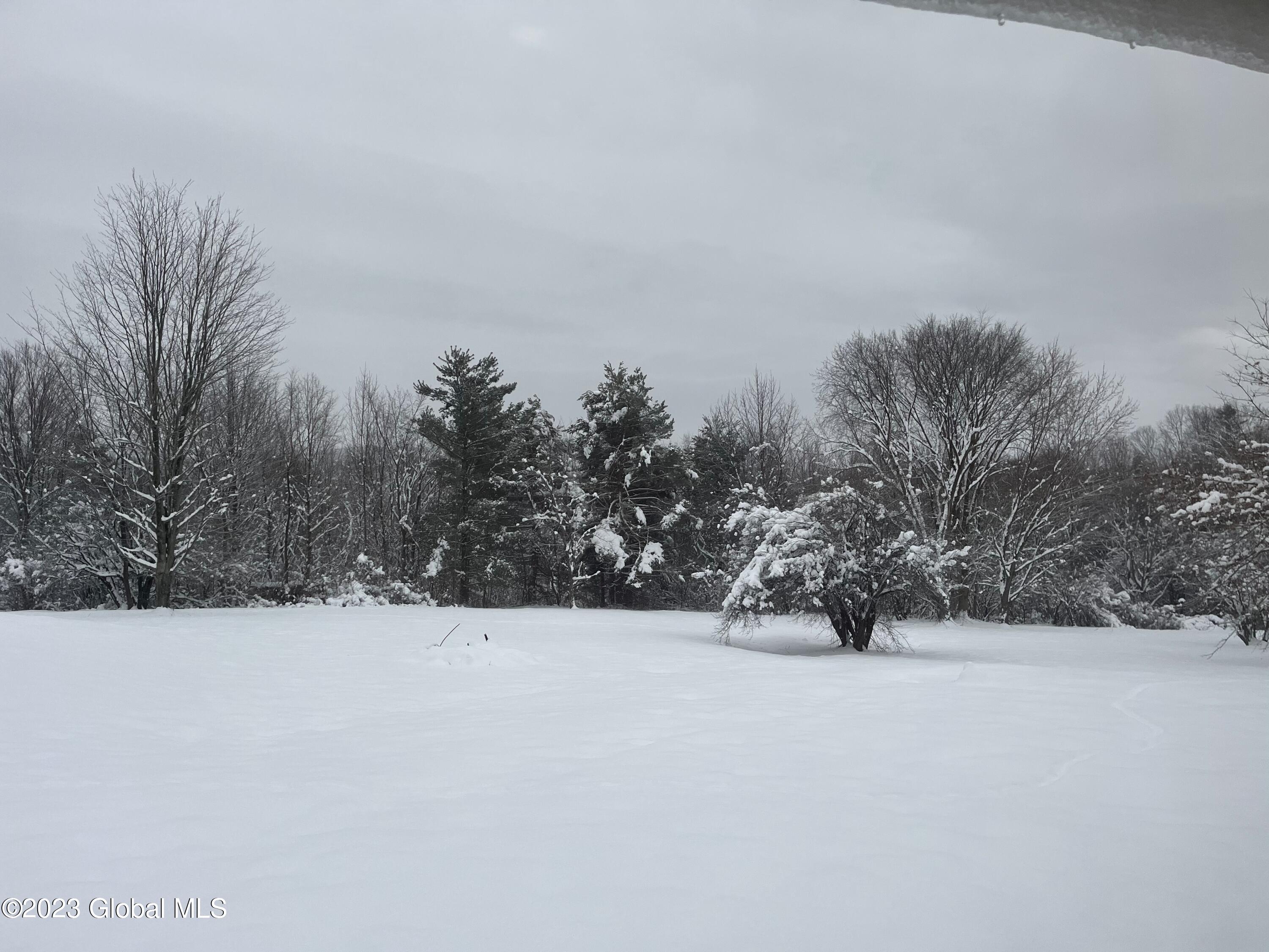 118 Phillips Road Pittstown, NY 12185 - Photo 10 of 10 IMG_1315