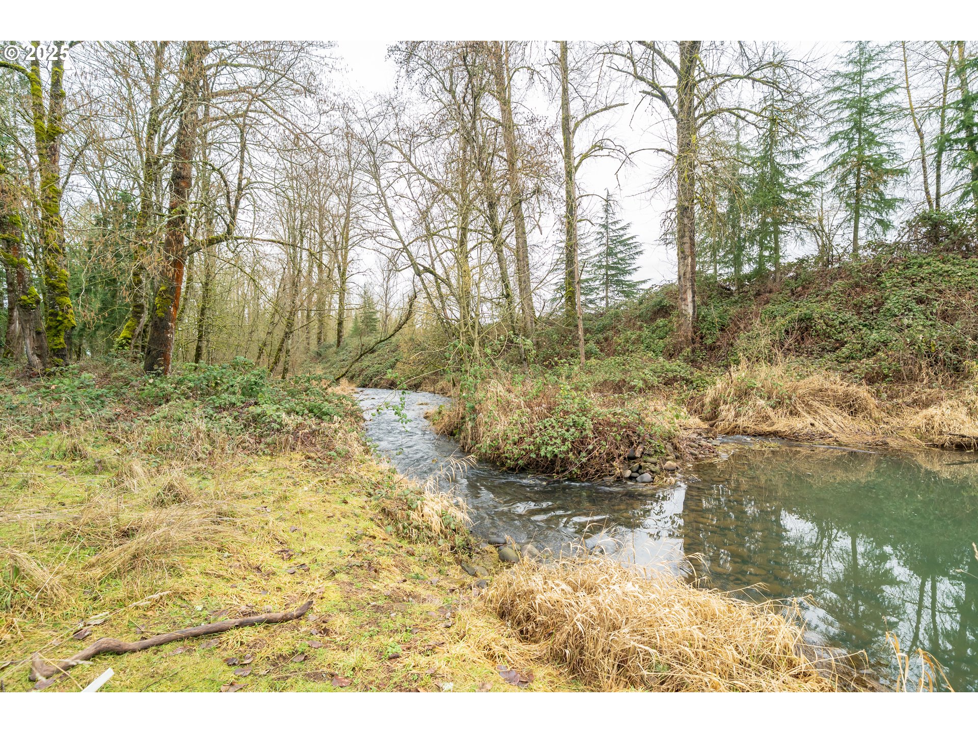 41729 Kingston Jordan Road Stayton, OR 97383 - Photo 4 of 32 Creek