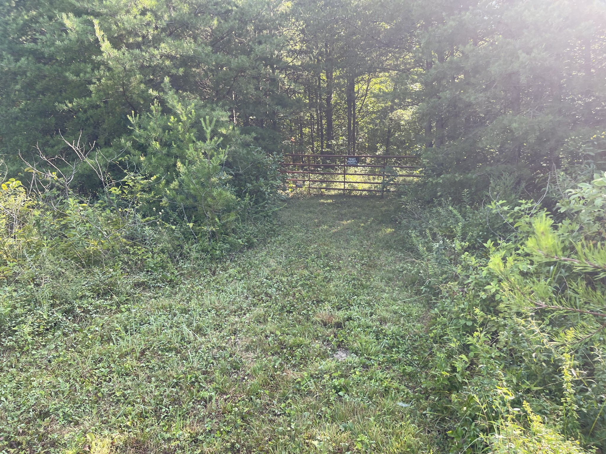 0 Turkey Track Road Altamont, TN 37301 - Photo 10 of 14 Gallery Image 10