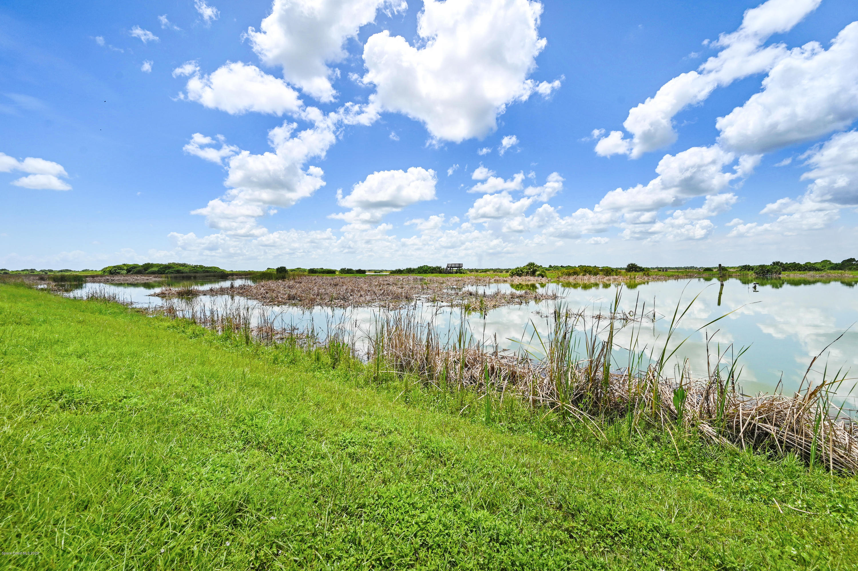 7120 Ralston Street Melbourne, FL 32940 - Photo 75 of 75 DSC_8388