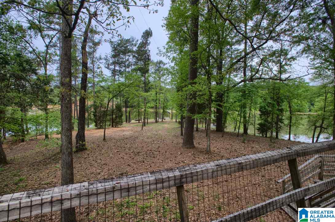 780 Treasure Island Road Cropwell, AL 35054 - Photo 21 of 33