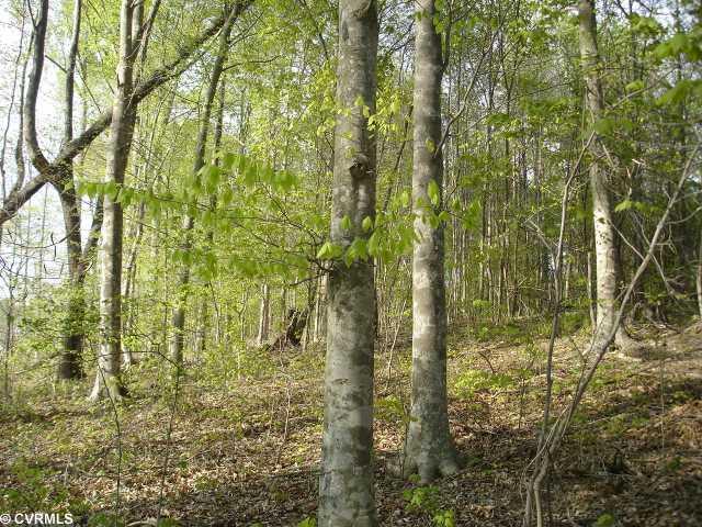 42-32 F White Oak Road Dewitt, VA 23840 - Photo 11 of 12 Land