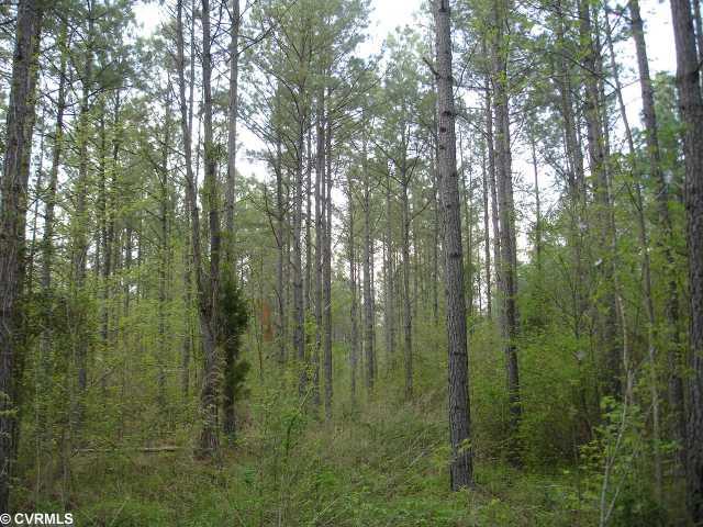 42-32 F White Oak Road Dewitt, VA 23840 - Photo 7 of 12 Land