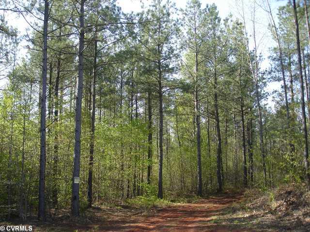 42-32 F White Oak Road Dewitt, VA 23840 - Photo 8 of 12 Land