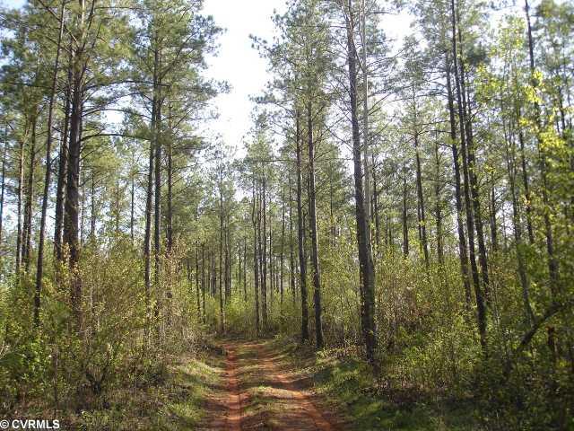 42-32 F White Oak Road Dewitt, VA 23840 - Photo 10 of 12 Land