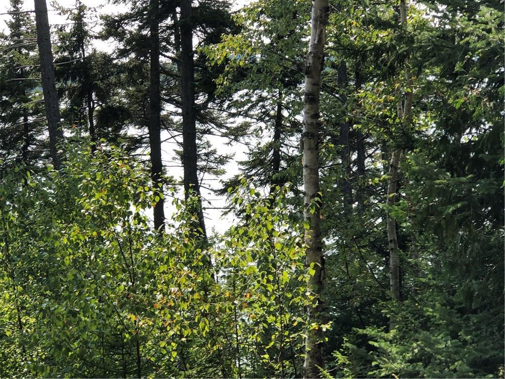 14 North Lubec Road Lubec, ME 04652 - Photo 13 of 35 Photo