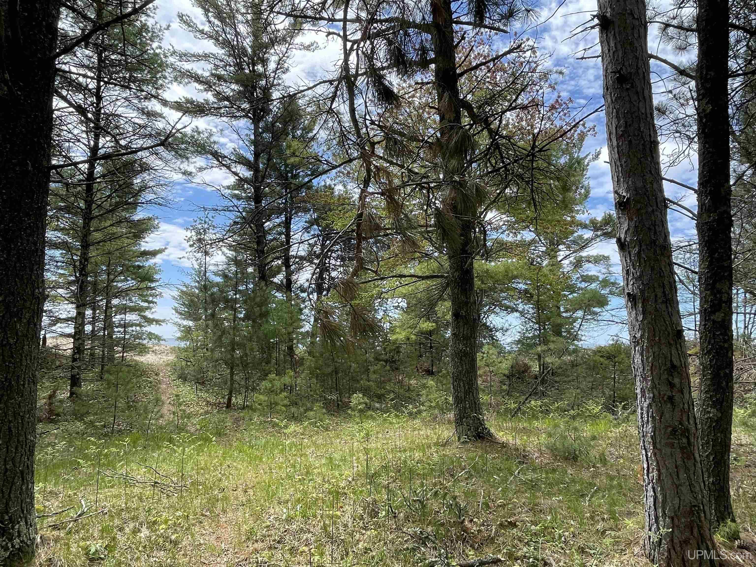 402 Top O' Lake Road Gulliver, MI 49840 - Photo 31 of 33