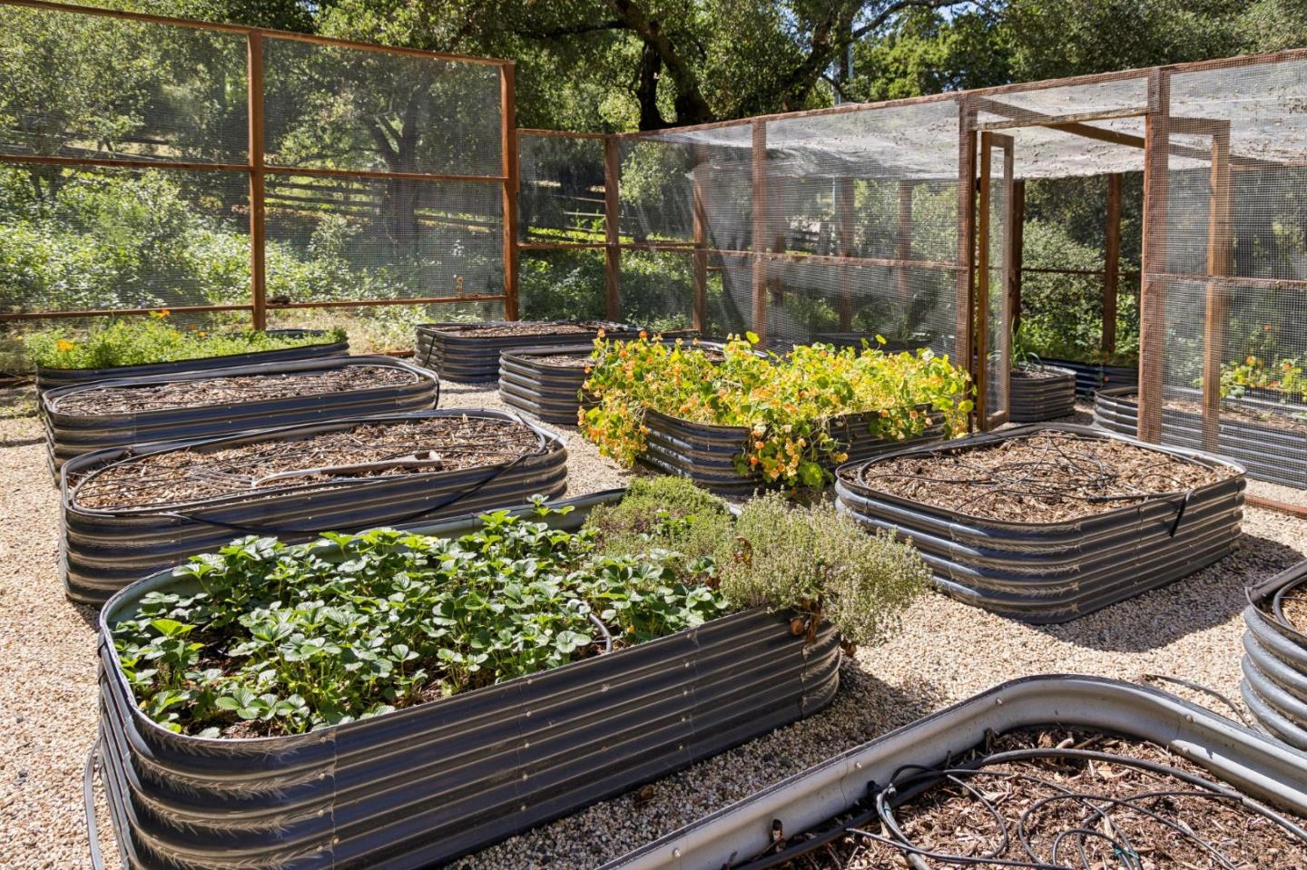 600 Moore Road Woodside, CA 94062 - Photo 57 of 65