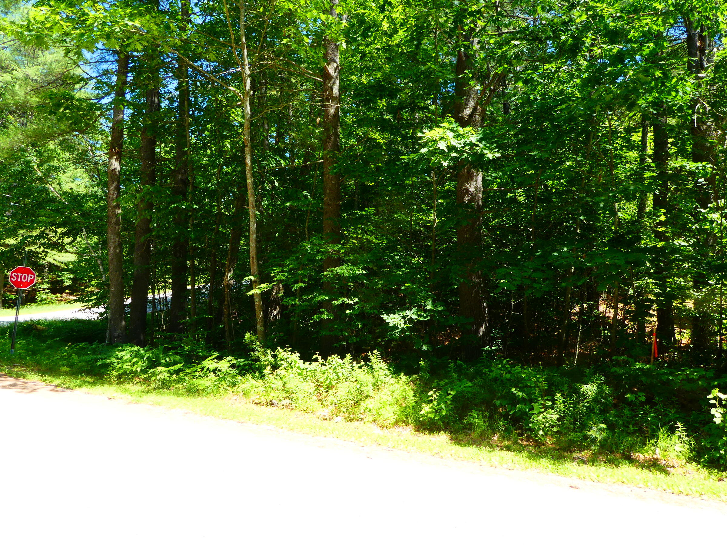 road view