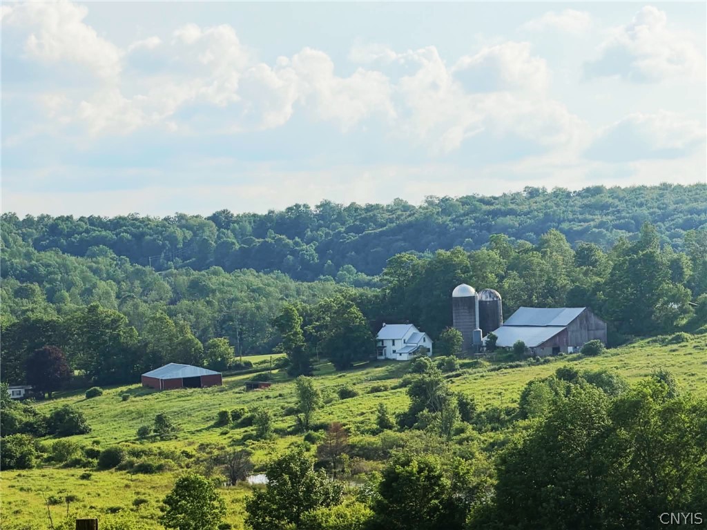 4891 Telephone Road Taylor, NY 13040 - Photo 7 of 42