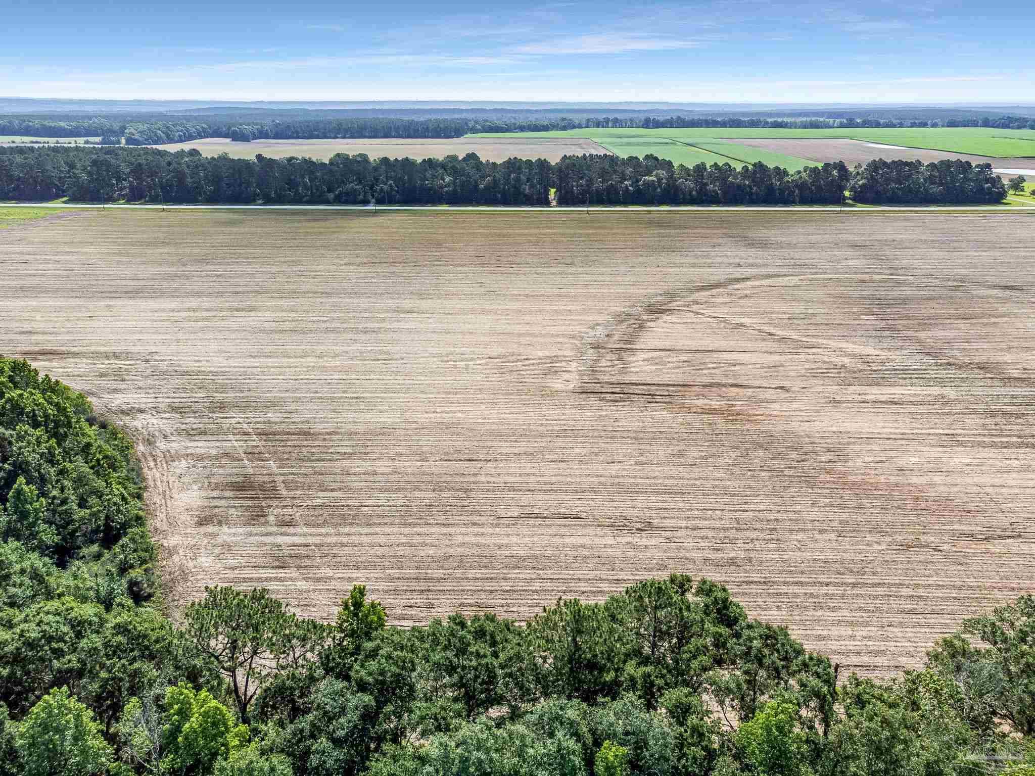 Lot 2-3 Tungoil Road Walnut Hill, FL 32568 - Photo 4 of 11