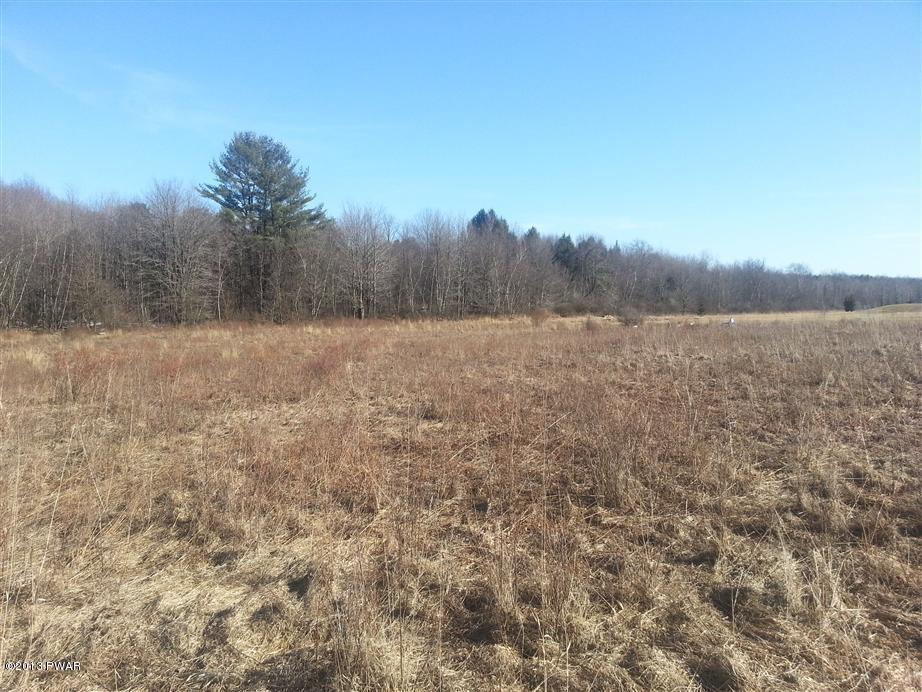 Layton Road Waymart, PA 18472 - Photo 9 of 10
