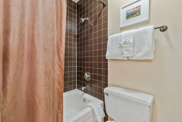 a bathroom with a toilet and a bathtub