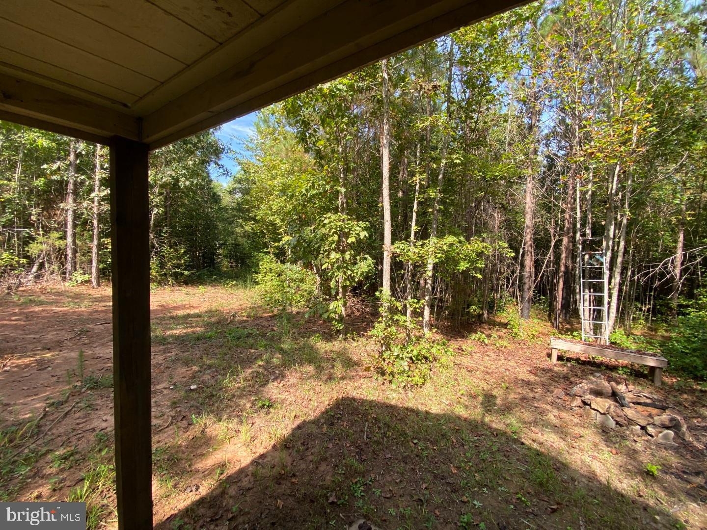 684 Squirrel Hollow Road Alberta, VA 23821 - Photo 13 of 43 Serene woodland retreat awaits exploration.