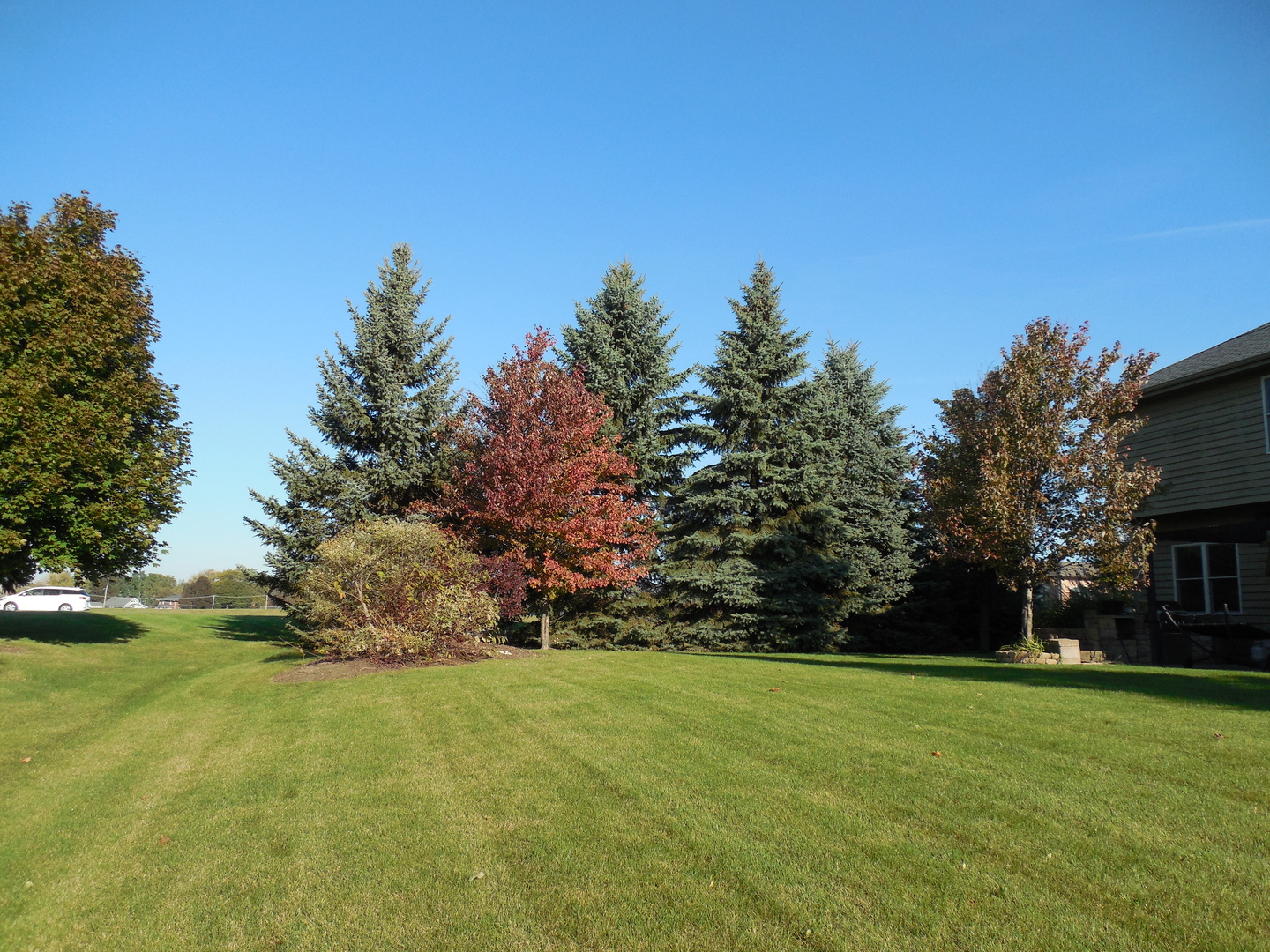 4N570 School Road St. Charles, IL 60175 - Photo 29 of 30