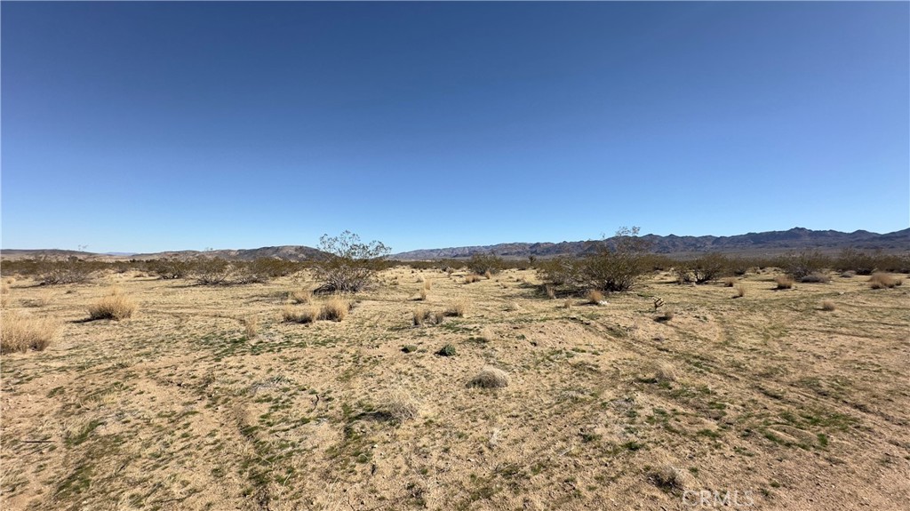 0 Sungold Joshua Tree Ca  