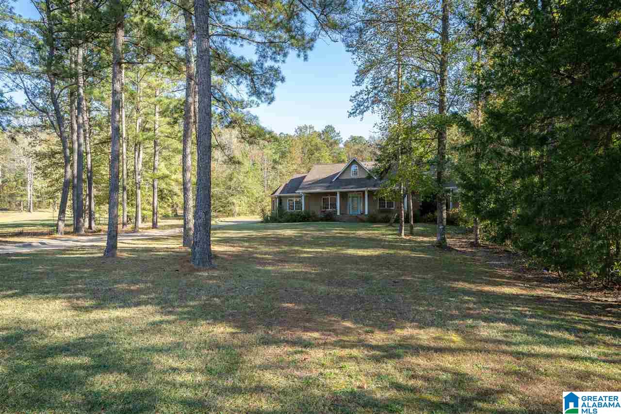 880 Lovejoy Road Ashville, AL 35953 - Photo 2 of 22