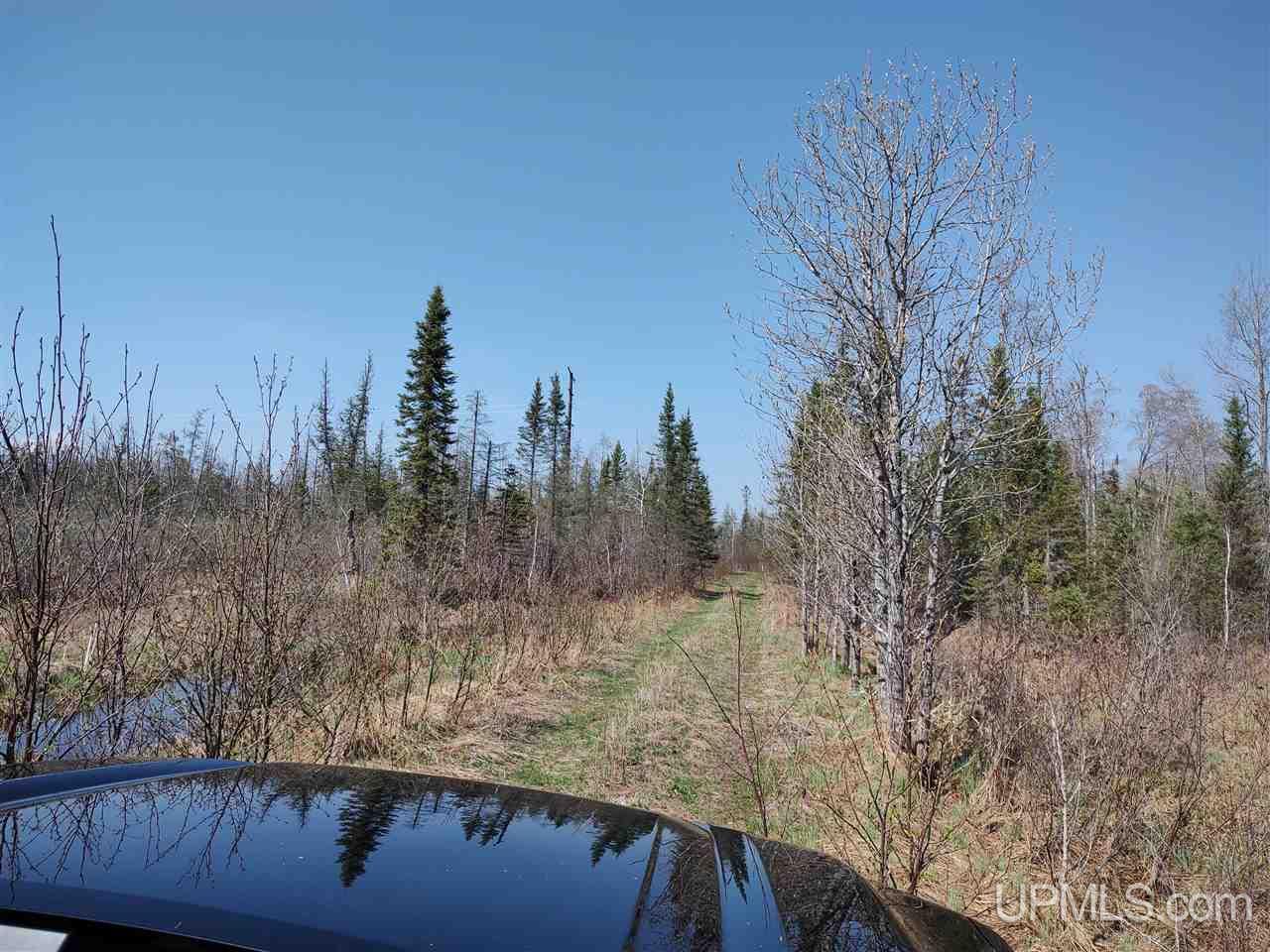426 Rd Cornell Mi 49818 Road Cornell, MI 49818 - Photo 16 of 22