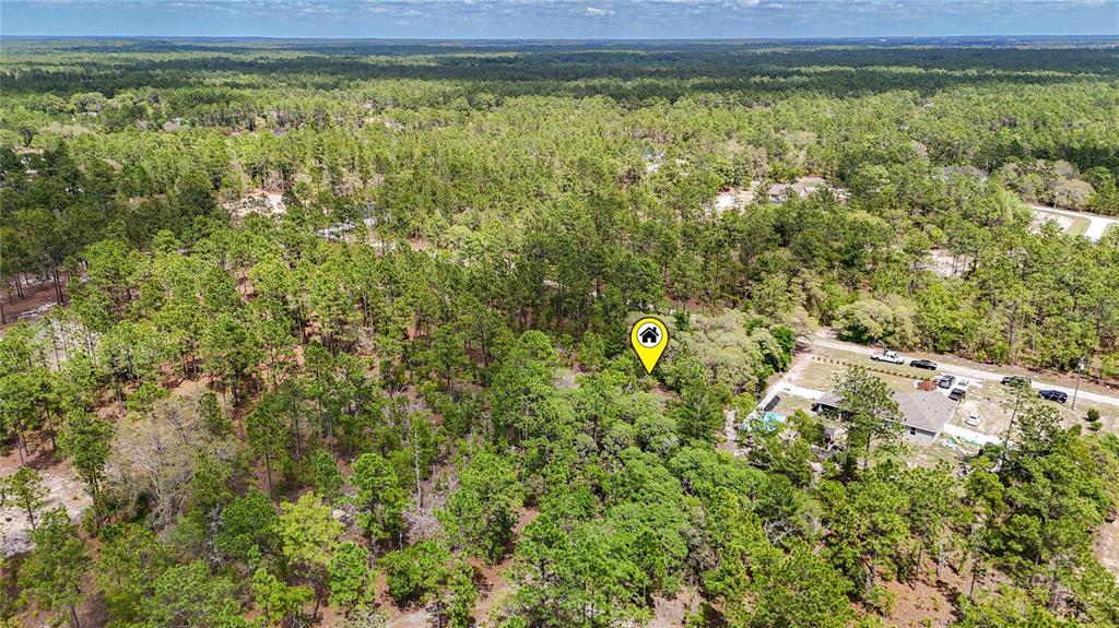 Tbd Southwest 137th Ct Road Dunnellon, FL 34432 - Photo 13 of 19