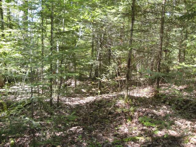 Lot Wilmar Wilmar Lane Rhinelander, WI 54501 - Photo 7 of 10 Gallery Image 7