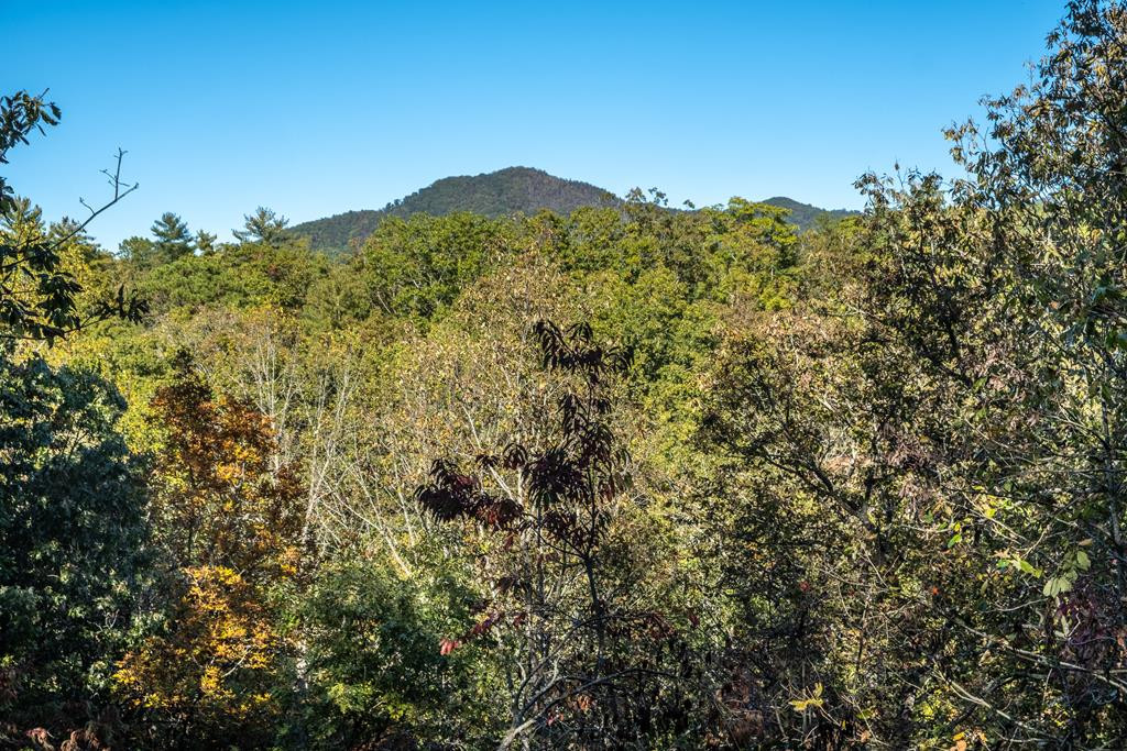 101 Mount Haven Road Murphy, NC 28906 - Photo 58 of 63 Gallery Image 58