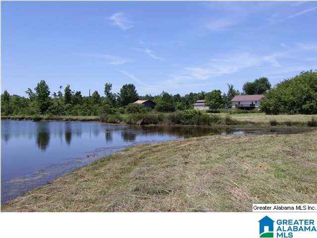 6294 New Liberty Road Jacksonville, AL 36265 - Photo 30 of 32