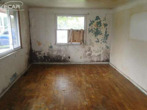 1309 Coldwater Road Flint, MI 48505 - Photo 3 of 10 20422171-2.JPG