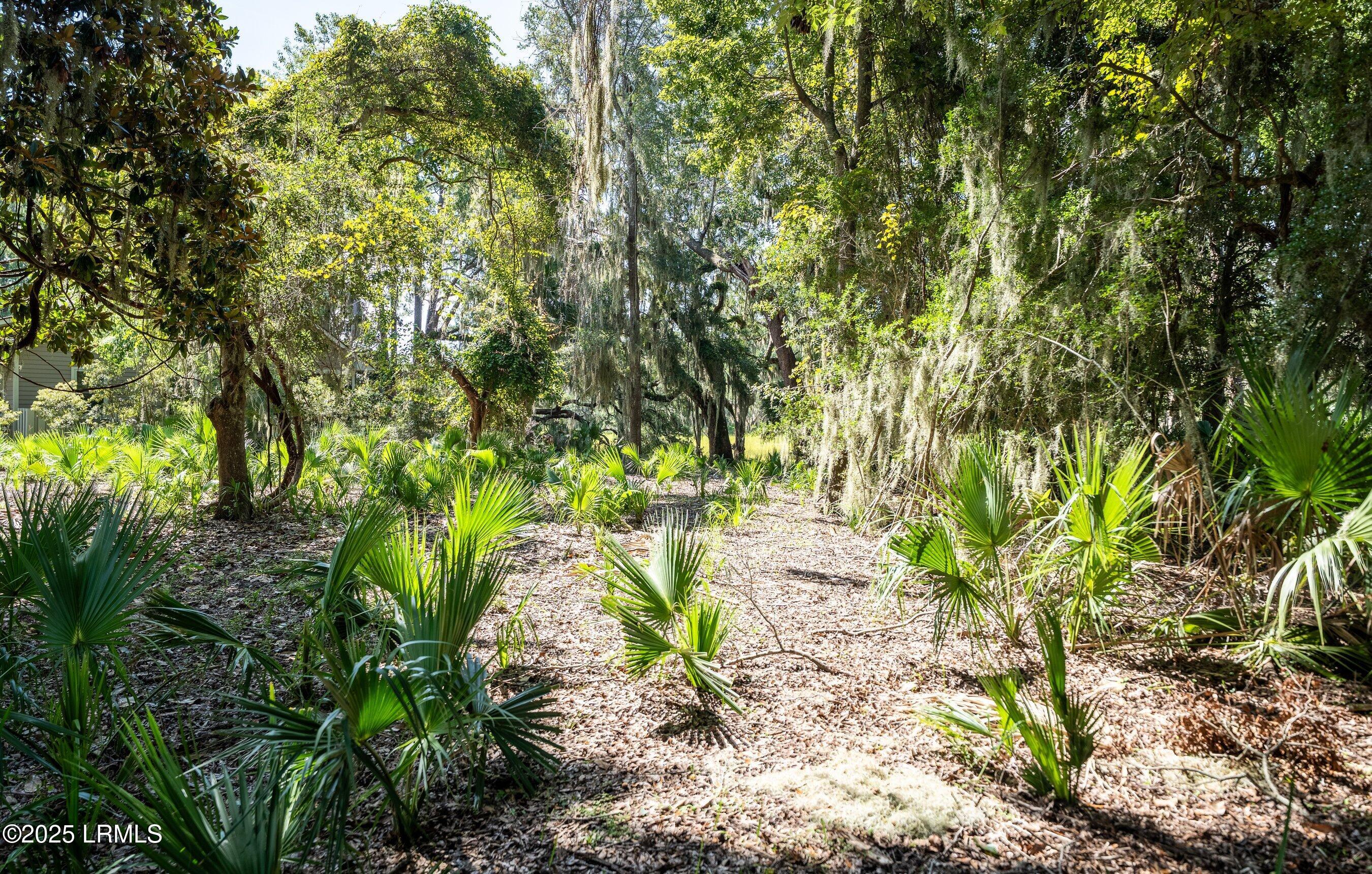 19 Sheridan Road Beaufort, SC 29907 - Photo 7 of 34 DSC00766-HDR.jpg-SMALL