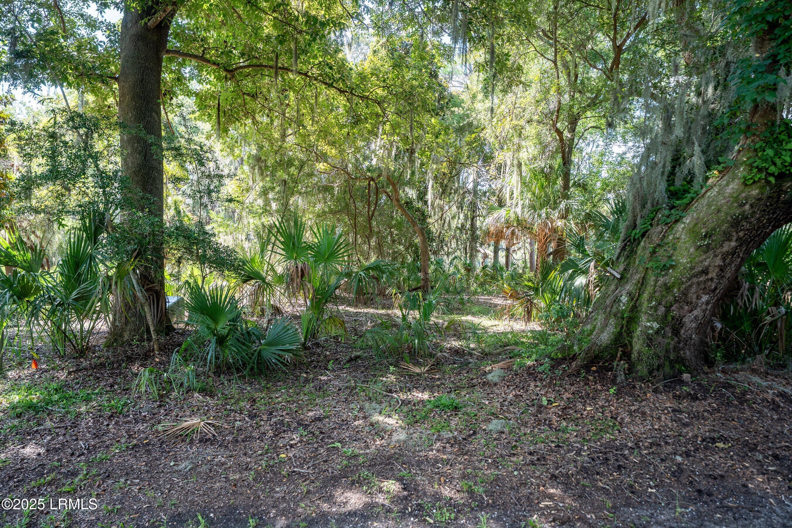 19 Sheridan Road Beaufort, SC 29907 - Photo 8 of 34 DSC00776-HDR.jpg-SMALL