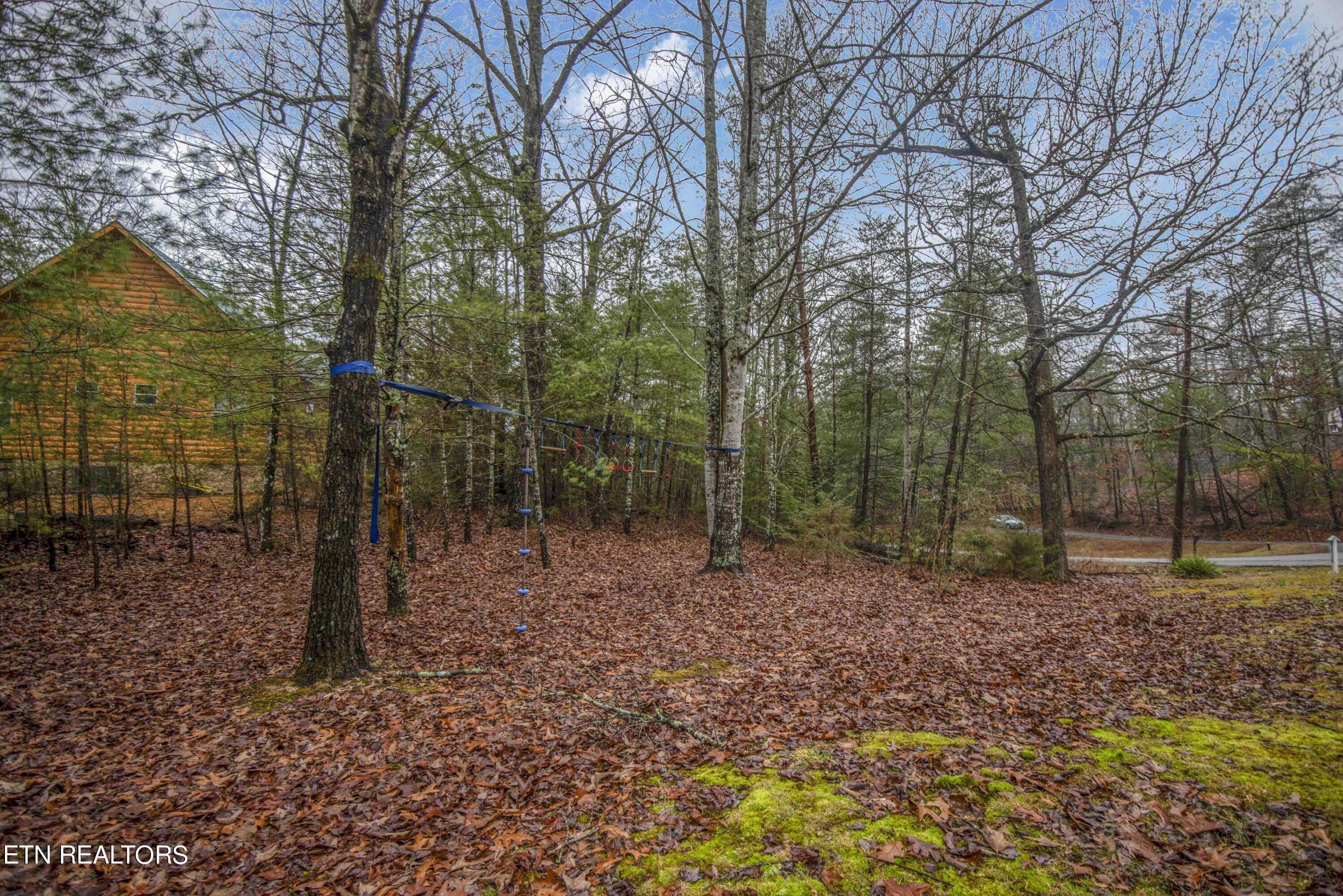 2320 Hidden Mountain Road Sevierville, TN 37876 - Photo 40 of 51 yard 4_1