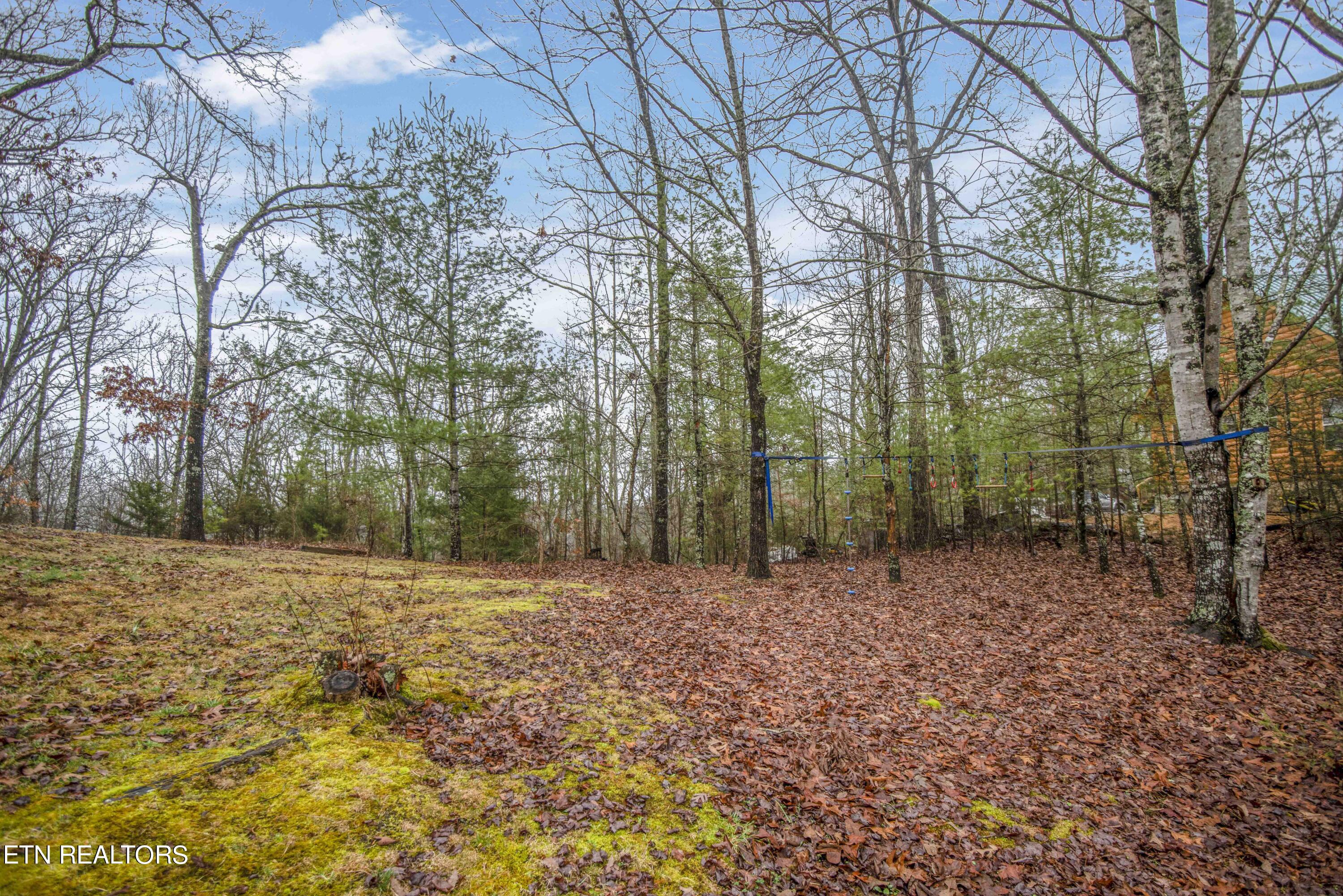 2320 Hidden Mountain Road Sevierville, TN 37876 - Photo 41 of 51 yard 5_1