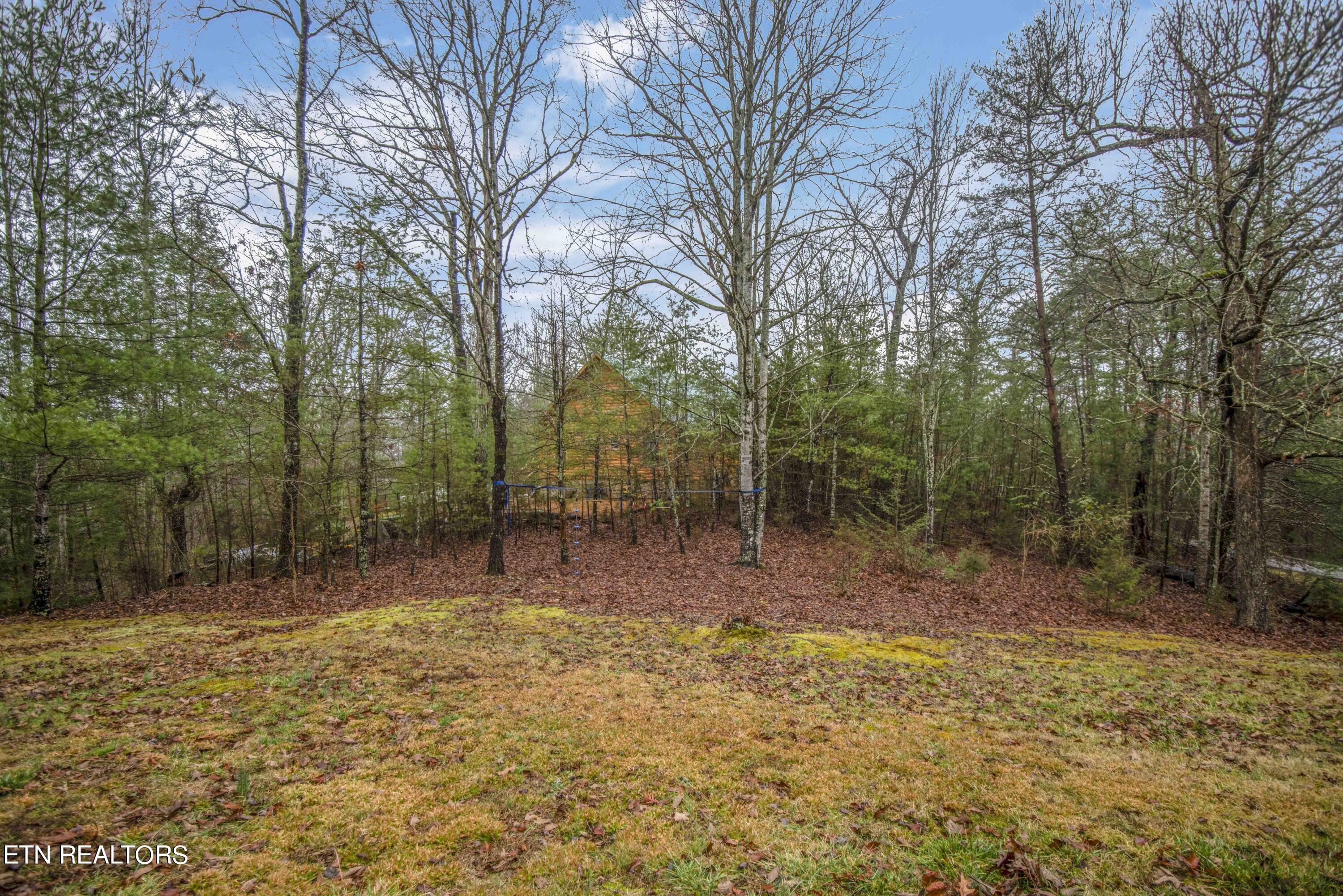 2320 Hidden Mountain Road Sevierville, TN 37876 - Photo 42 of 51 yard 6_1