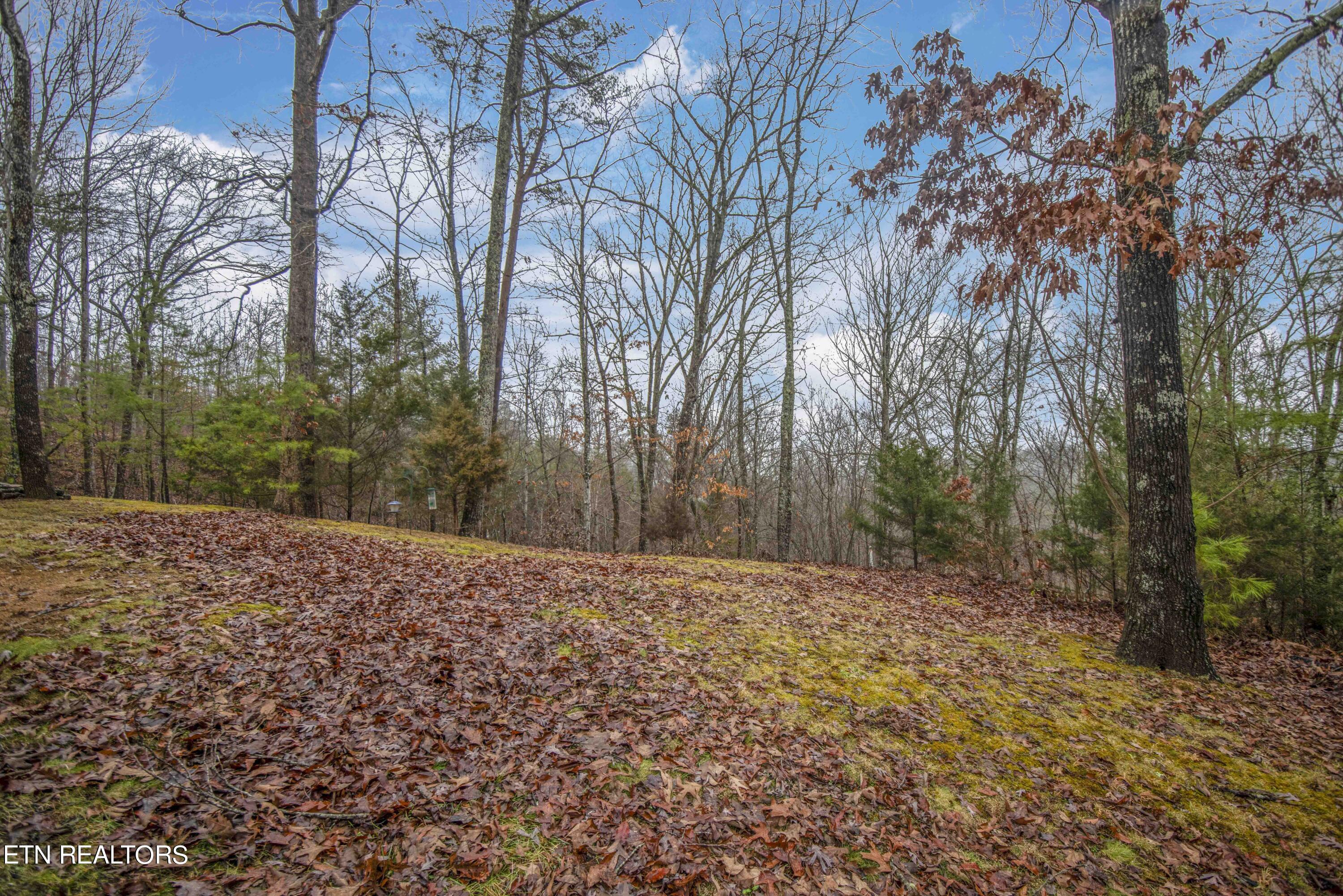 2320 Hidden Mountain Road Sevierville, TN 37876 - Photo 43 of 51 yard 7_1