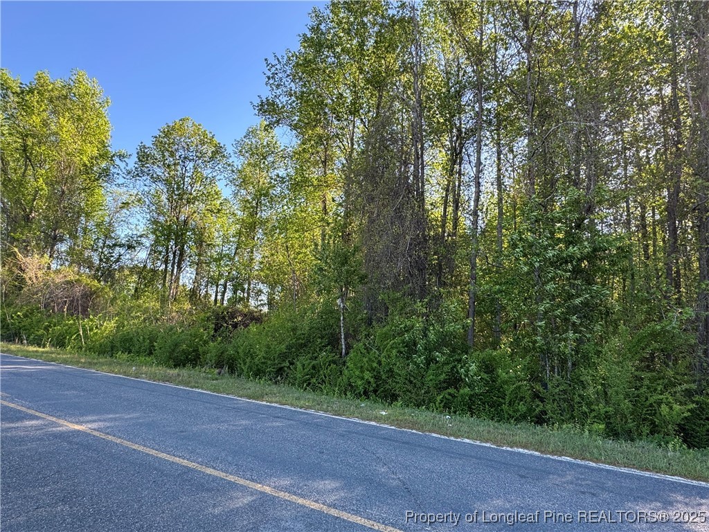 Mcbryde Mill Road Red Springs, NC 28377 - Photo 2 of 6