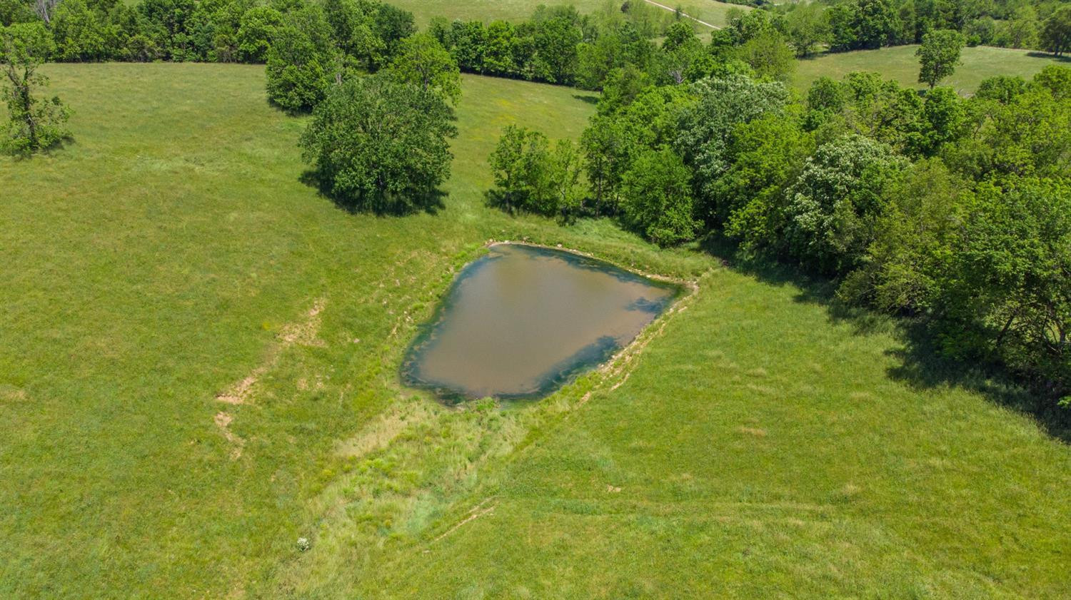 450 Steele Ford Road, Unit A Paris, KY 40361 - Photo 6 of 23 Photo 8
