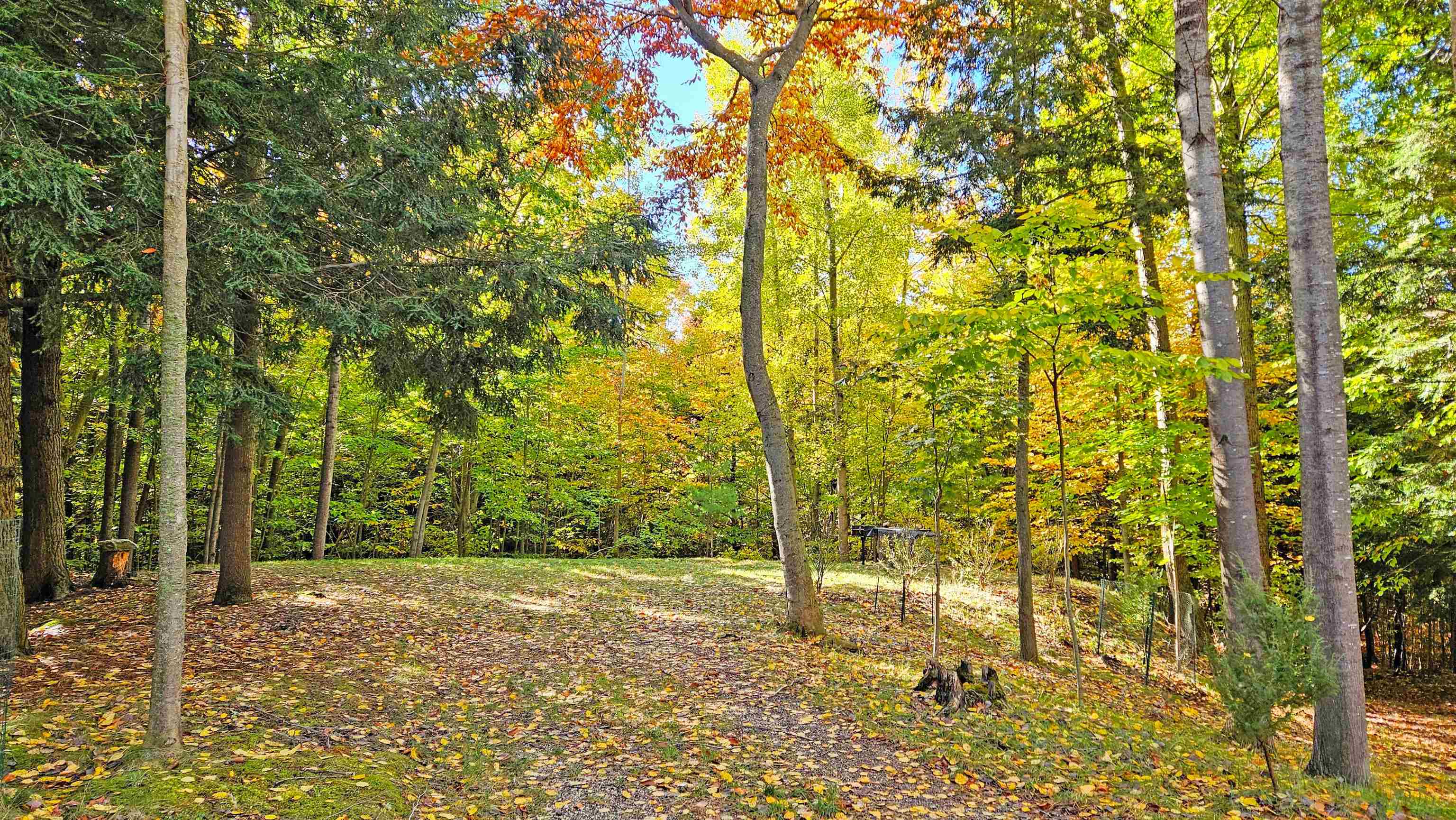 82-107 Moon Ridge Road, Unit LOT: 82,107 Onekama, MI 49675 - Photo 9 of 48