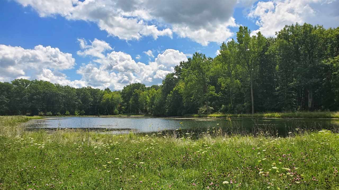 0 Fergus Road St. Charles, MI 48655 - Photo 2 of 4