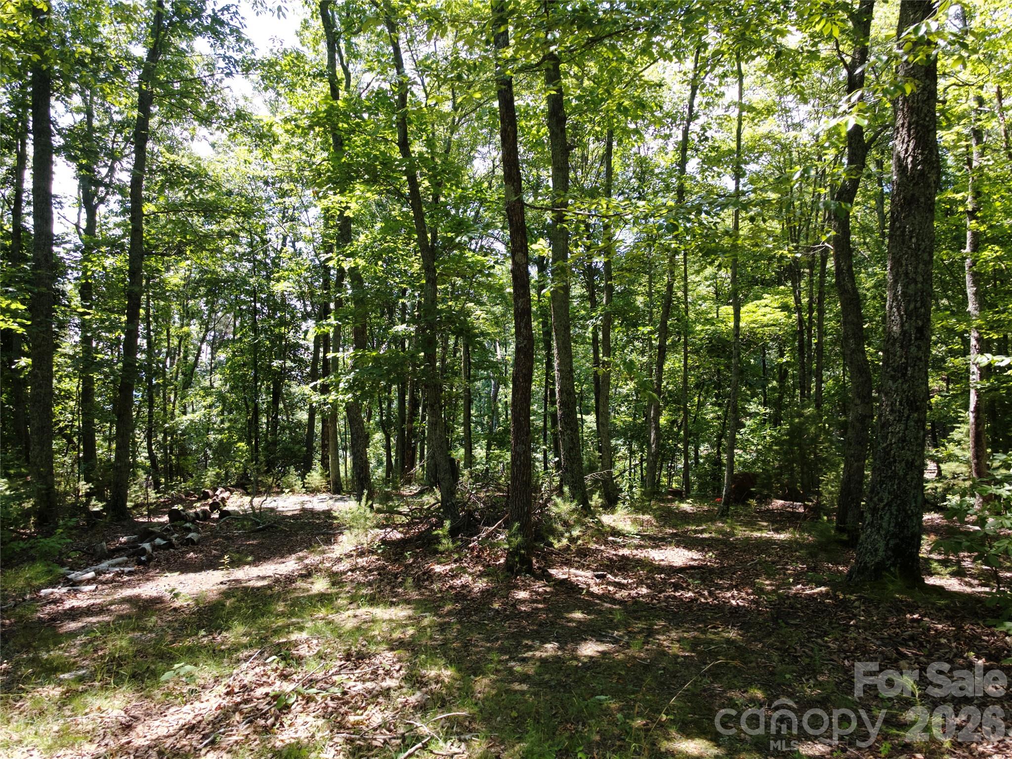 118 Upper Ridge Road Bostic, NC 28018 - Photo 12 of 13