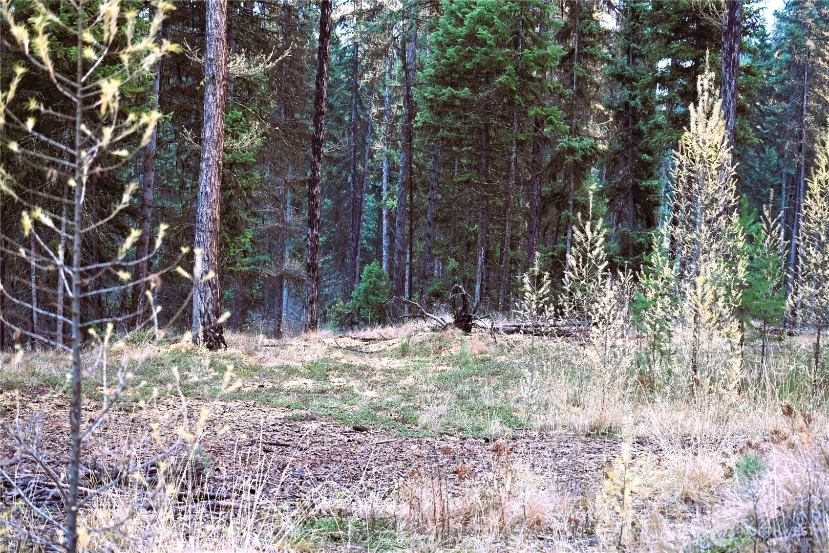 81 Rose Valley Road Republic, WA 99166 - Photo 23 of 37 Gallery Image 23