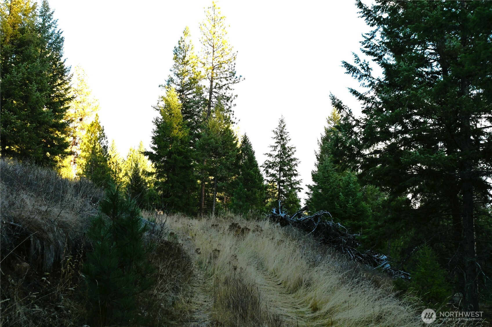 81 Rose Valley Road Republic, WA 99166 - Photo 28 of 37 Gallery Image 28