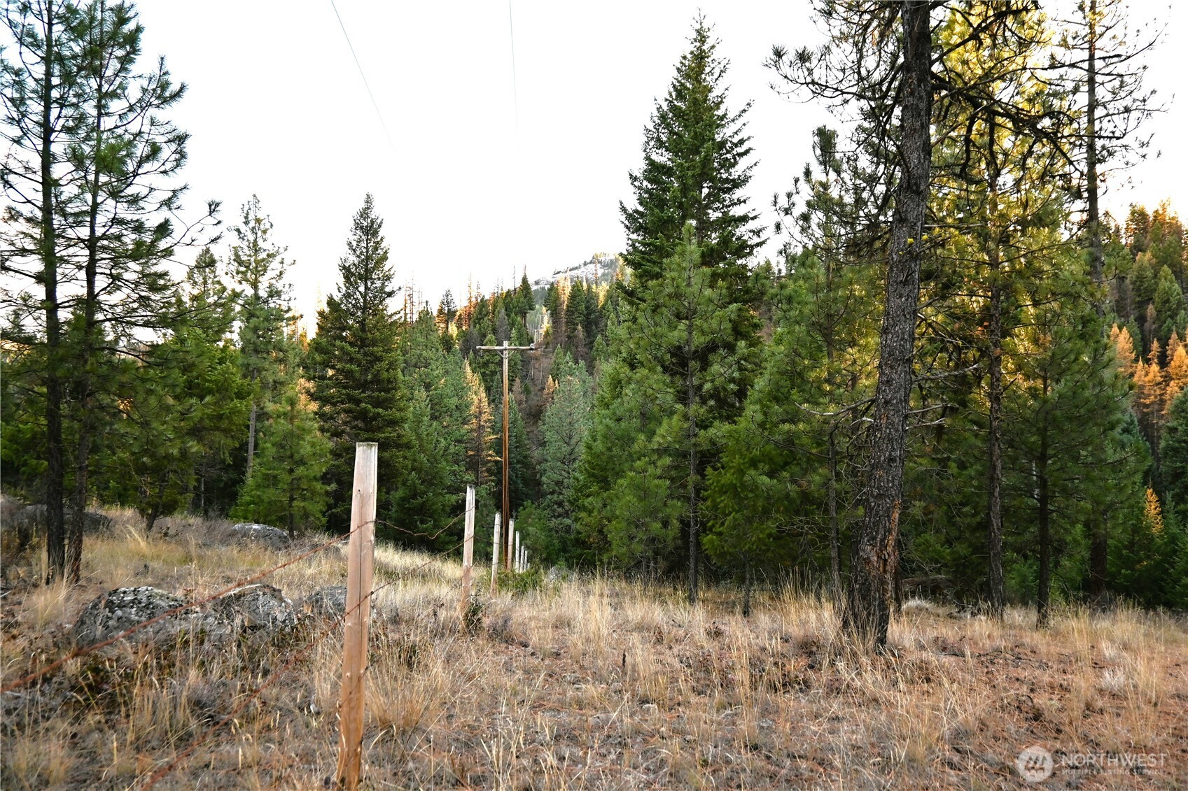 81 Rose Valley Road Republic, WA 99166 - Photo 29 of 37 Gallery Image 29