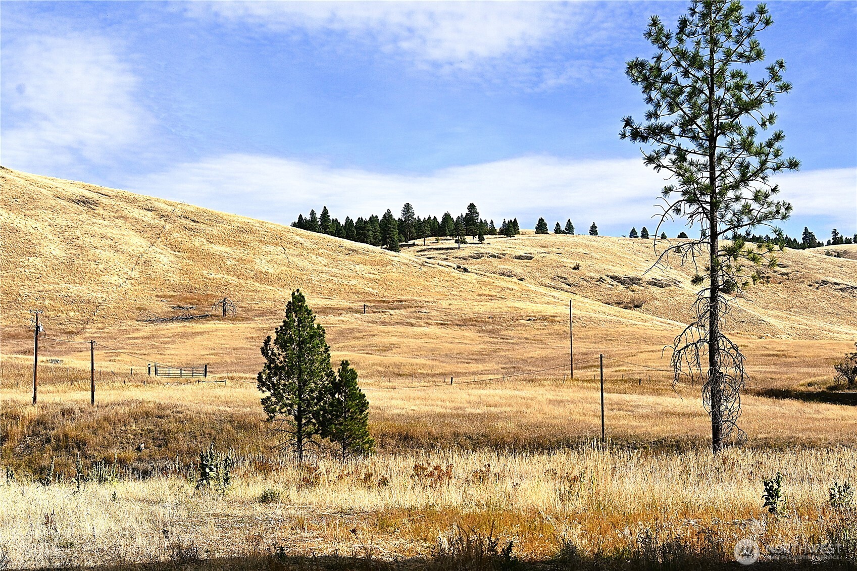 81 Rose Valley Road Republic, WA 99166 - Photo 3 of 37 Gallery Image 3