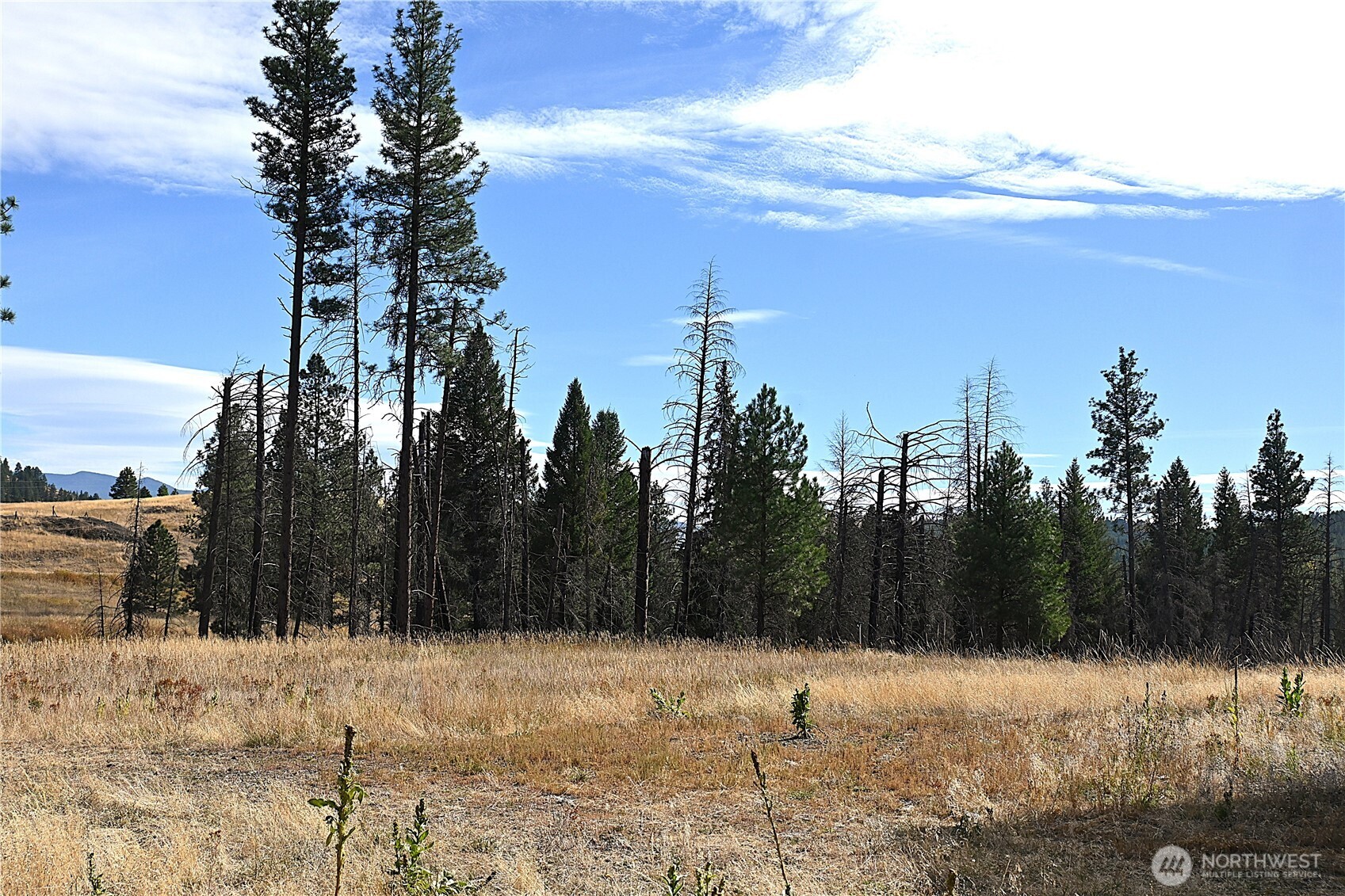 81 Rose Valley Road Republic, WA 99166 - Photo 33 of 37 Gallery Image 33
