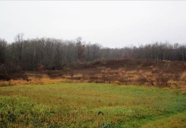 Parcel A Buehler Road Hastings, MI 49058 - Photo 3 of 7 3