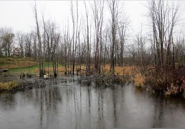 Parcel A Buehler Road Hastings, MI 49058 - Photo 5 of 7 5