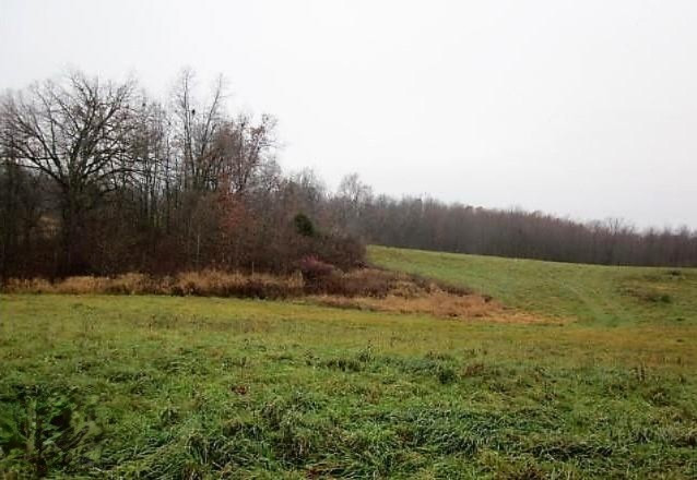 Parcel A Buehler Road Hastings, MI 49058 - Photo 6 of 7 6