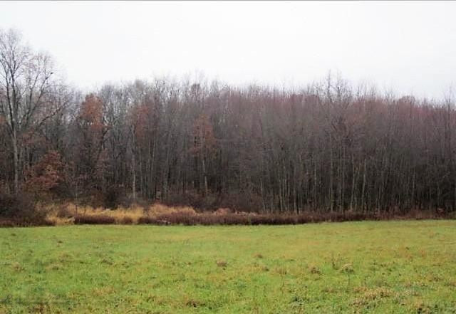 Parcel A Buehler Road Hastings, MI 49058 - Photo 7 of 7 7